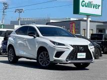 2021 Lexus NX