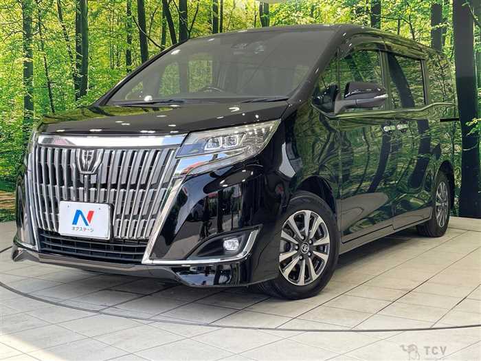 2017 Toyota Esquire