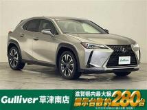 2020 Lexus UX