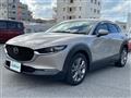 2023 Mazda CX-3