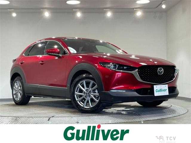 2022 Mazda CX-3