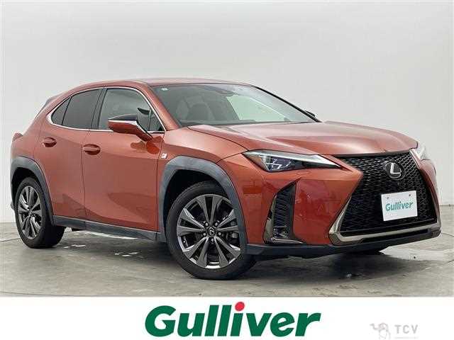 2019 Lexus UX