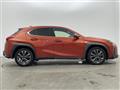 2019 Lexus UX