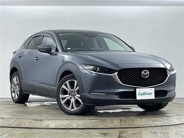 2019 Mazda CX-3