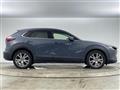 2019 Mazda CX-3
