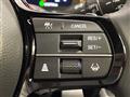 2024 Honda Step WGN