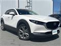 2021 Mazda CX-3