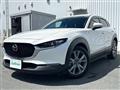 2021 Mazda CX-3