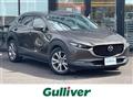 2019 Mazda CX-3