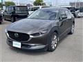 2019 Mazda CX-3