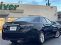 2019 Toyota Mark X