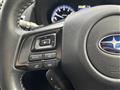 2019 Subaru Levorg