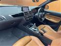 2017 BMW 1 Series