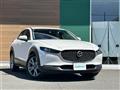 2021 Mazda CX-3