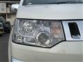 2011 Mitsubishi Delica D5