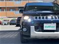 2014 Mitsubishi Delica D5