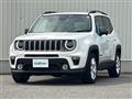 2021 Chrysler Renegade