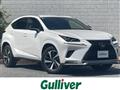 2020 Lexus NX