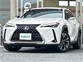 2019 Lexus UX