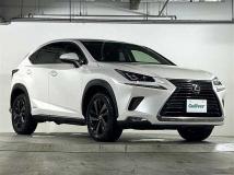 2018 Lexus NX