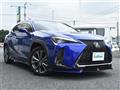2019 Lexus UX