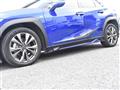 2019 Lexus UX