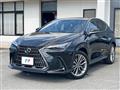2024 Lexus NX