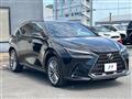 2024 Lexus NX
