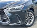 2024 Lexus NX