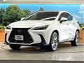 2025 Lexus NX
