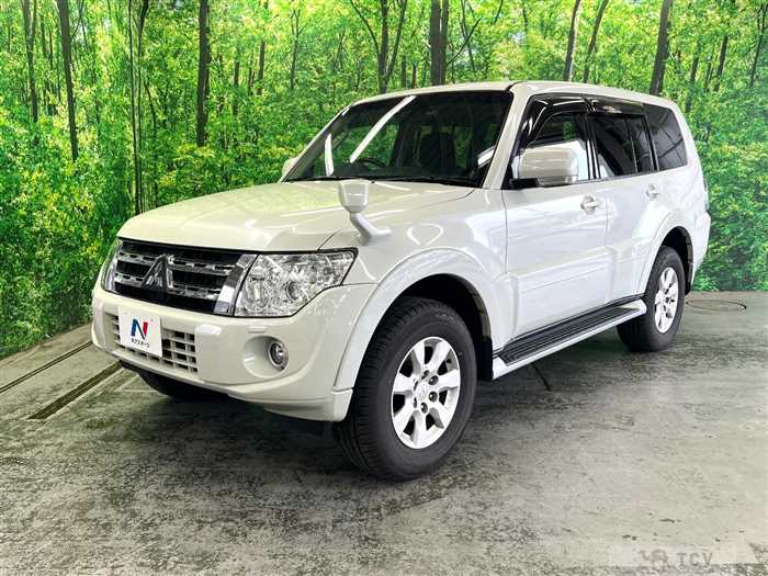 2013 Mitsubishi Pajero