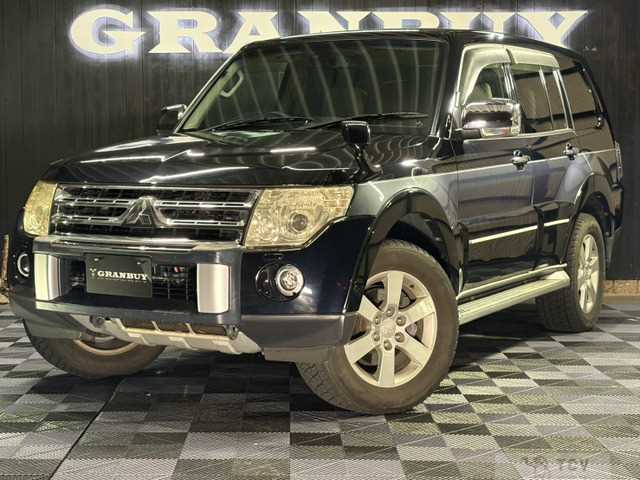 2008 Mitsubishi Pajero