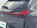 2019 Lexus UX