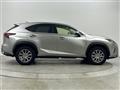 2019 Lexus NX
