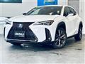 2019 Lexus UX
