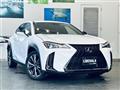 2019 Lexus UX