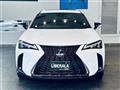 2019 Lexus UX