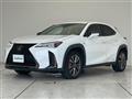2021 Lexus UX