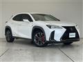2021 Lexus UX