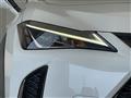 2021 Lexus UX