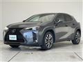 2022 Lexus UX