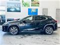 2019 Lexus UX