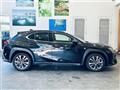 2019 Lexus UX