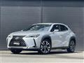 2019 Lexus UX