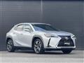 2019 Lexus UX