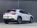 2019 Lexus UX