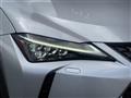 2019 Lexus UX