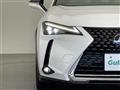 2019 Lexus UX