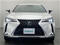 2019 Lexus UX