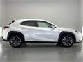 2019 Lexus UX